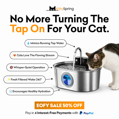 KittySpring Wireless Water Fountain: 3.2L