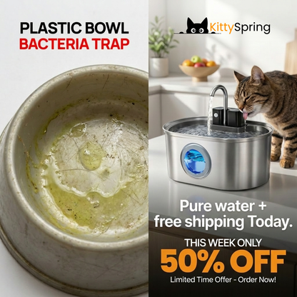 KittySpring Wireless Water Fountain: 3.2L