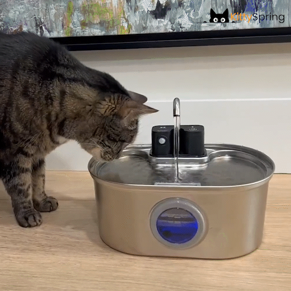 KittySpring Wireless Fountain: 3.2L