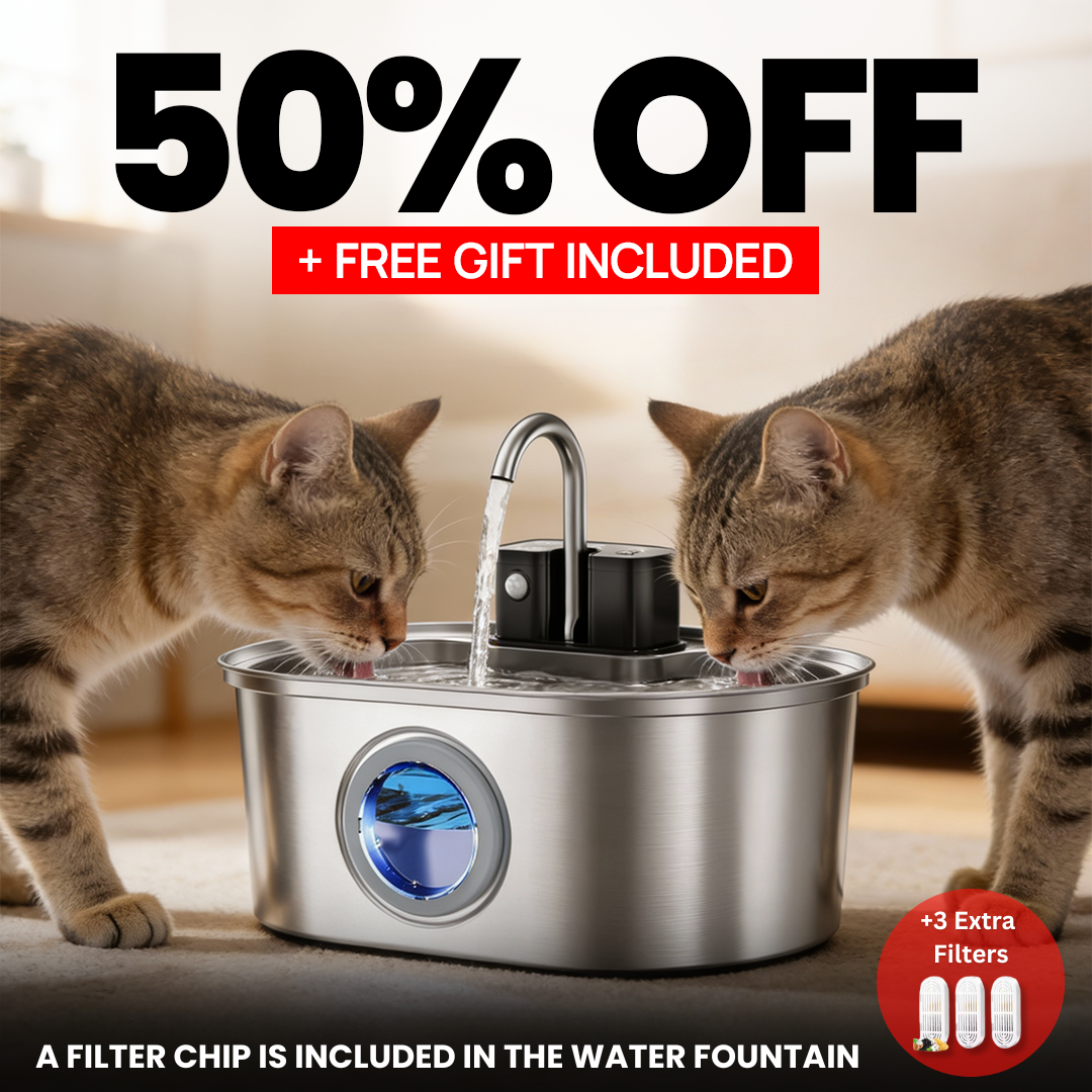 KittySpring Wireless Fountain: 3.2L