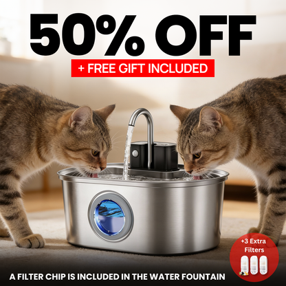 KittySpring Wireless Fountain: 3.2L