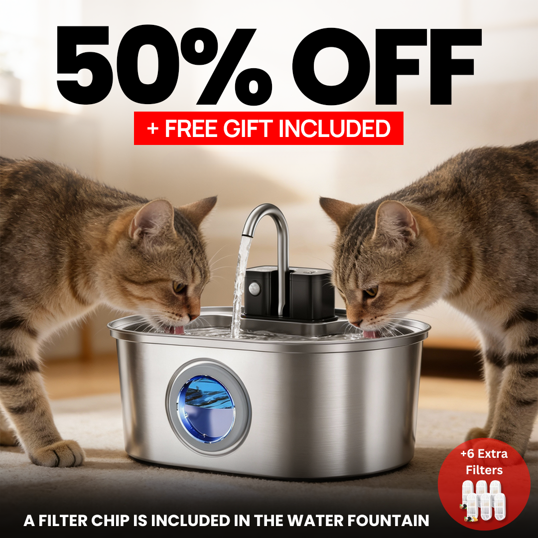 KittySpring Wireless Fountain: 3.2L