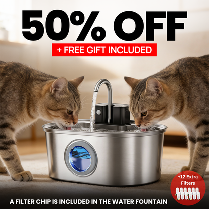 KittySpring Wireless Fountain: 3.2L