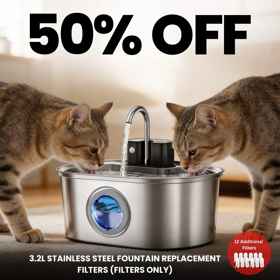 KittySpring Wireless Fountain: 3.2L