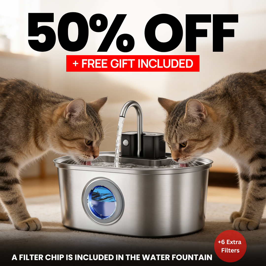 KittySpring Wireless Fountain: 3.2L