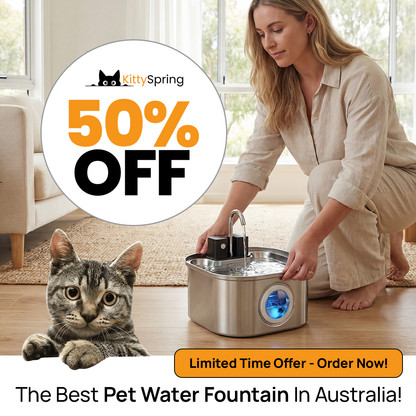 KittySpring Wireless Fountain: 3.2L