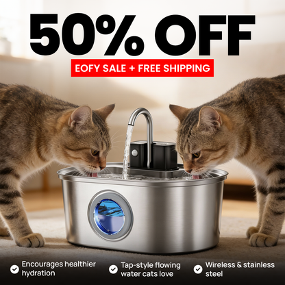 KittySpring Wireless Water Fountain: 3.2L