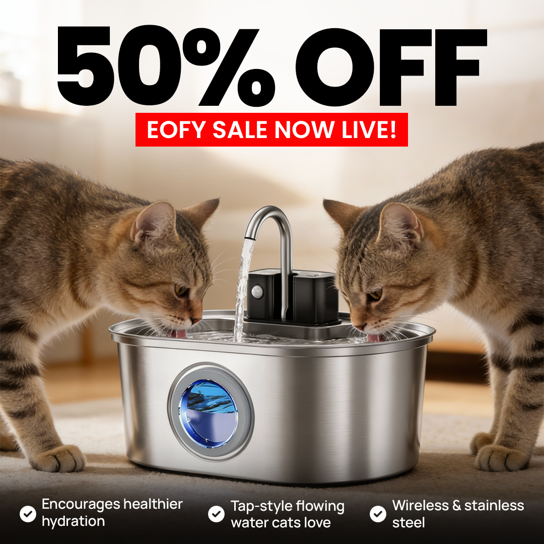 KittySpring Wireless Water Fountain: 3.2L