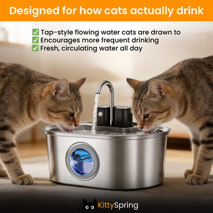KittySpring Wireless Fountain: 3.2L