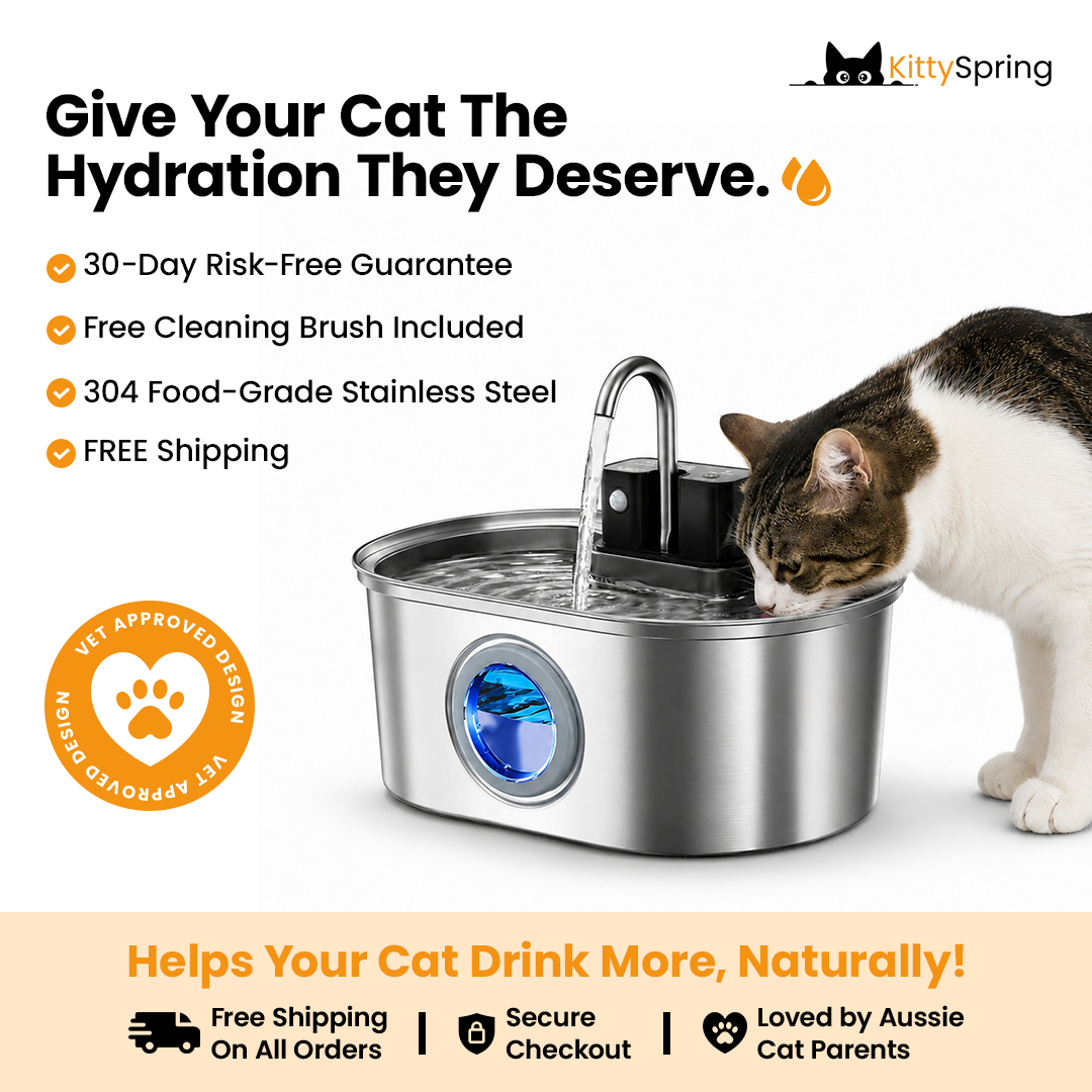 KittySpring Wireless Water Fountain: 3.2L