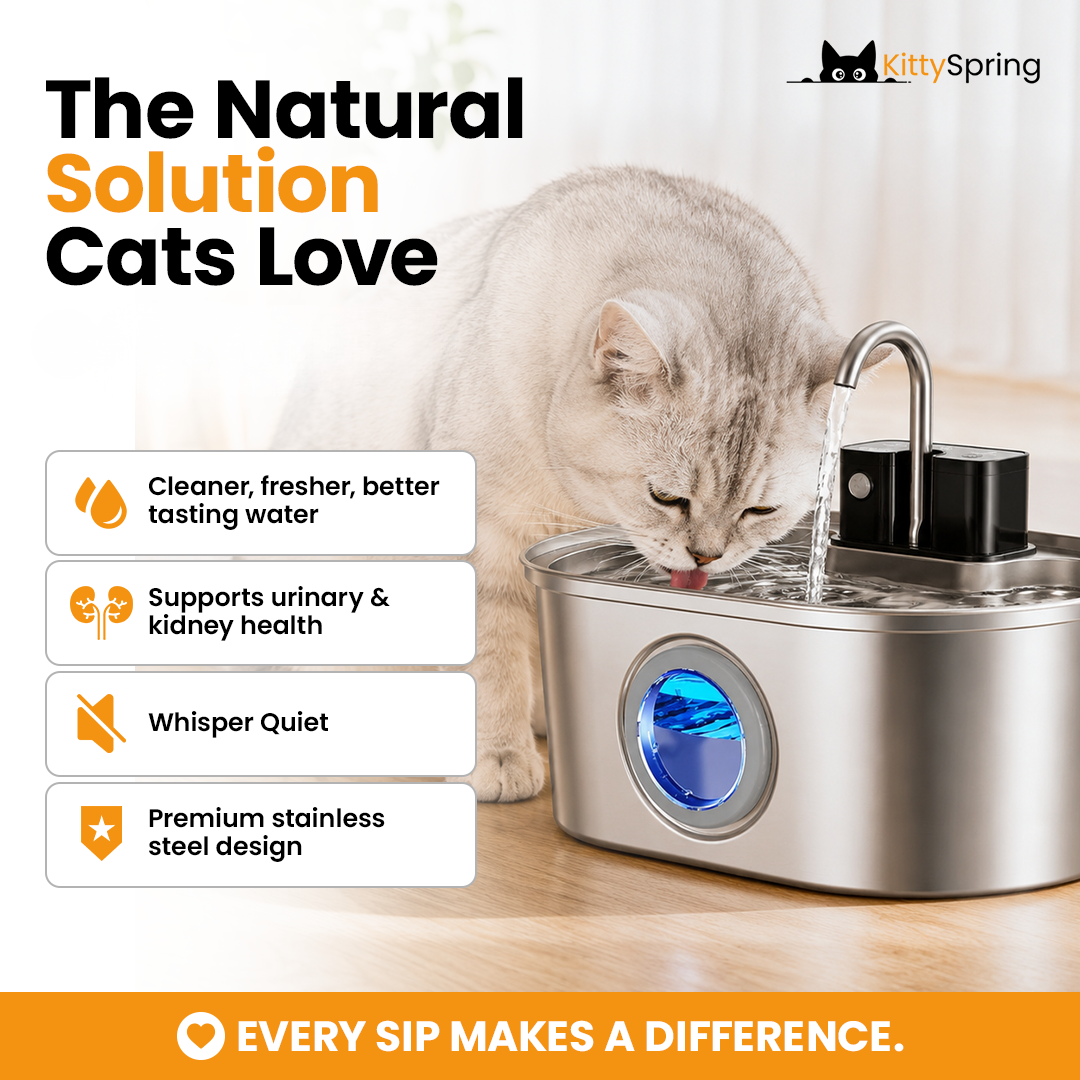 KittySpring Wireless Water Fountain: 3.2L