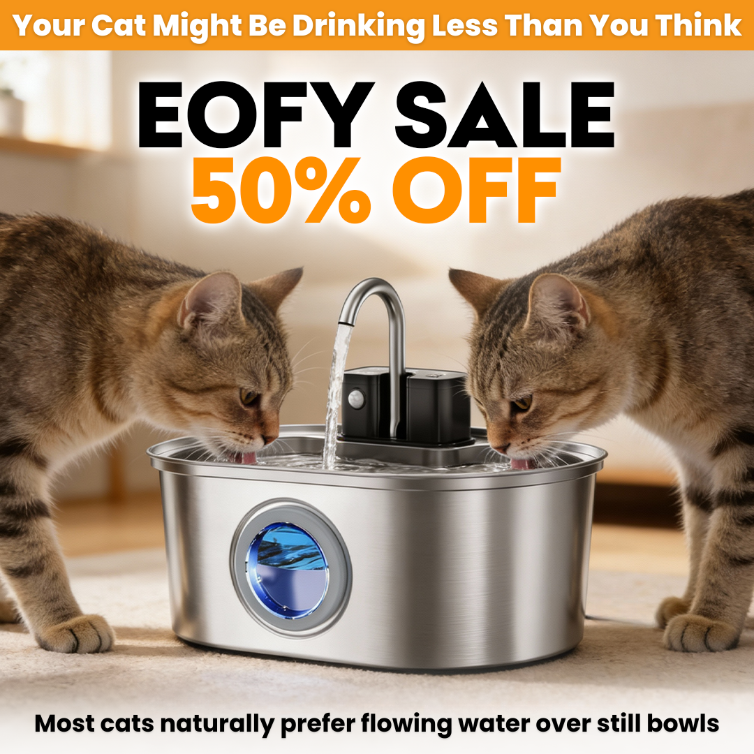 KittySpring Wireless Water Fountain: 3.2L