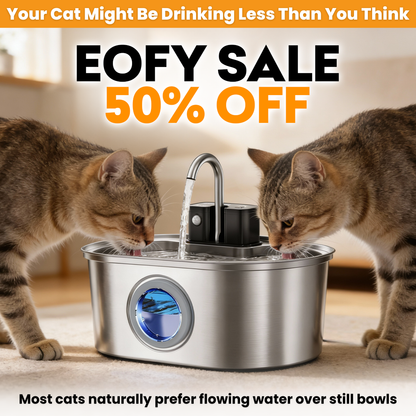 KittySpring Wireless Water Fountain: 3.2L