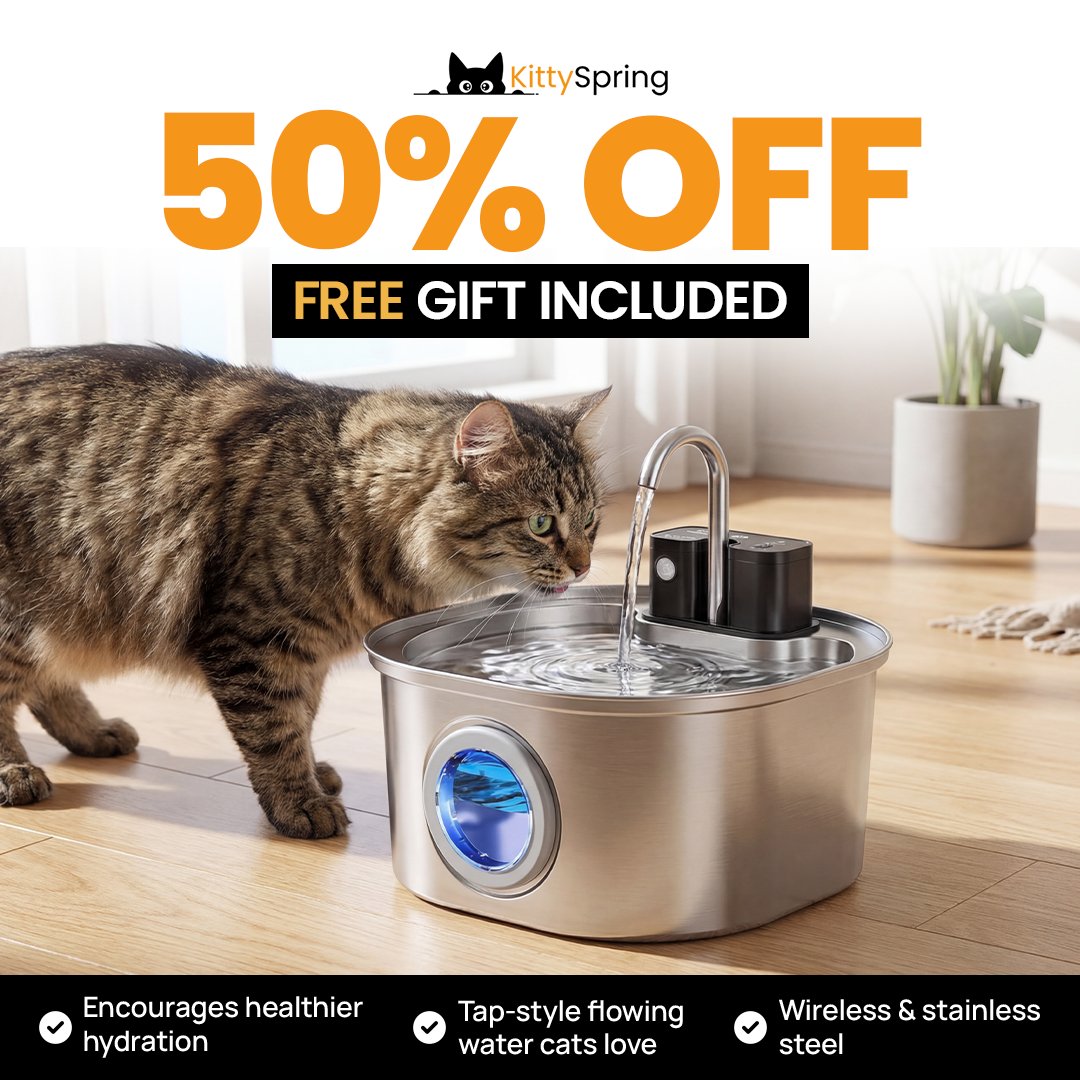 KittySpring Wireless Fountain: 3.2L