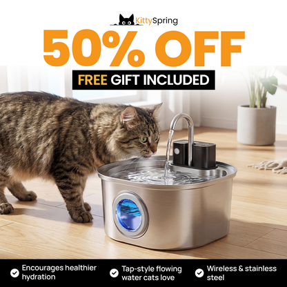 KittySpring Wireless Fountain: 3.2L