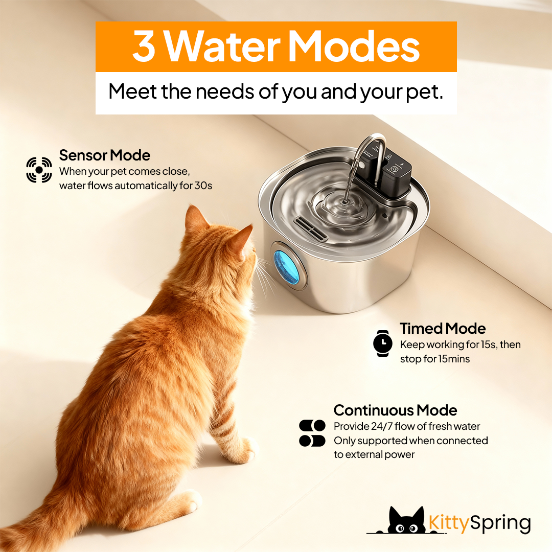 KittySpring Wireless Fountain: 3.2L