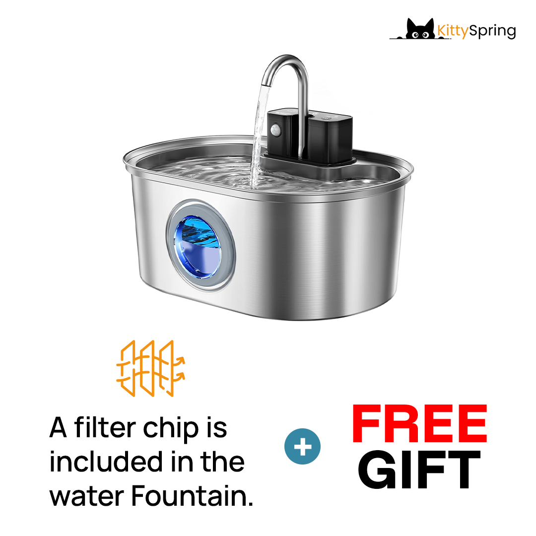 KittySpring Wireless Fountain: 3.2L