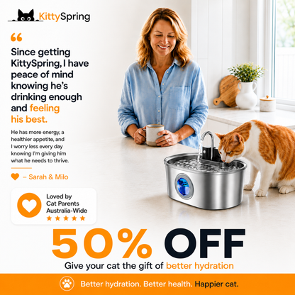 KittySpring Wireless Water Fountain: 3.2L